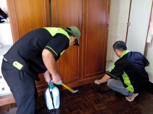 samui pest control สมุยกำจัดปลวกสมุนไพร26